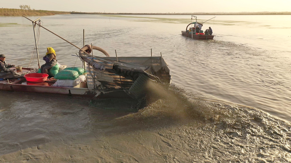 /uploads/image/2023/11/20/dea5ef98b1961369d39bd13c1e4b0471.jpg 芡实 (2).jpg