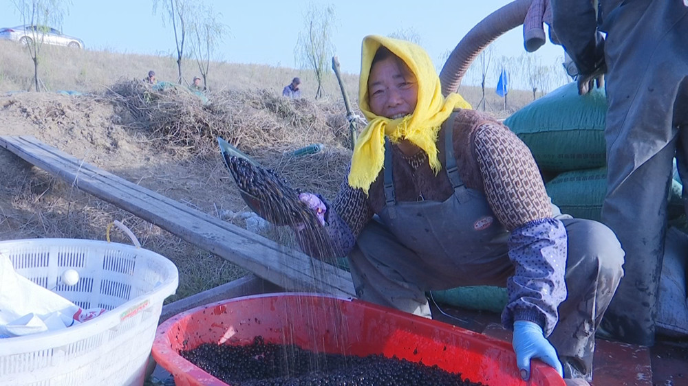 /uploads/image/2023/11/20/7a50cdda9daf24818d607165d7c4f2a9.jpg 芡实.jpg