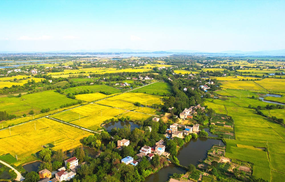 /uploads/image/2023/11/21/4a62b8ed38605cd89aaabbbf37601616.jpg 2.jpg