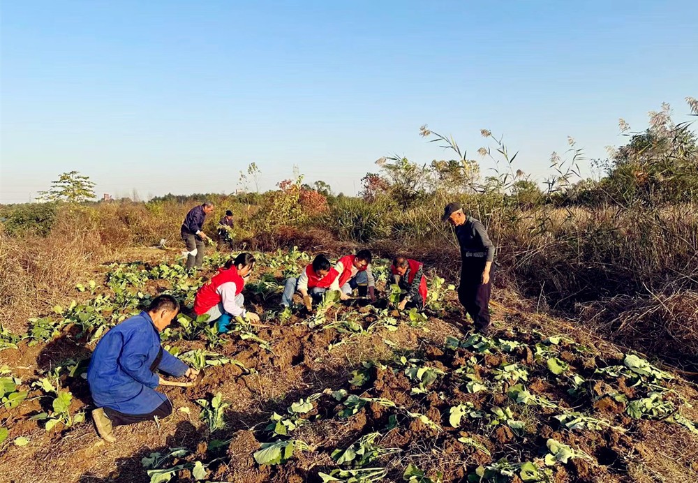 /uploads/image/2023/11/21/6ad7989eb010b7db151d9100c9d7e0f3.jpg 1.jpg