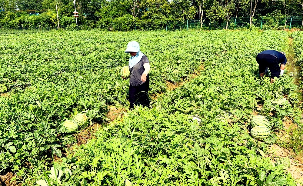 /uploads/image/2023/11/22/b84d344f4d5ed7435b416cfa1833d863.jpg 5.jpg