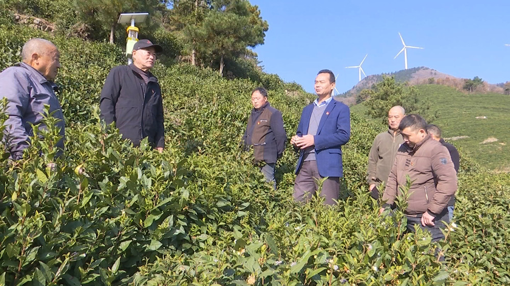 /uploads/image/2023/11/27/e69a196b7fabcf9a9a1a77ac070c8f0a.jpg 王中平.jpg