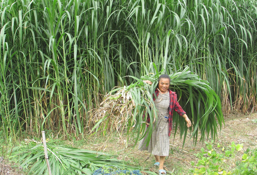 /uploads/image/2023/12/05/8aacd77ece5b5c605b3642d38e8ad9b5.jpg 0.jpg