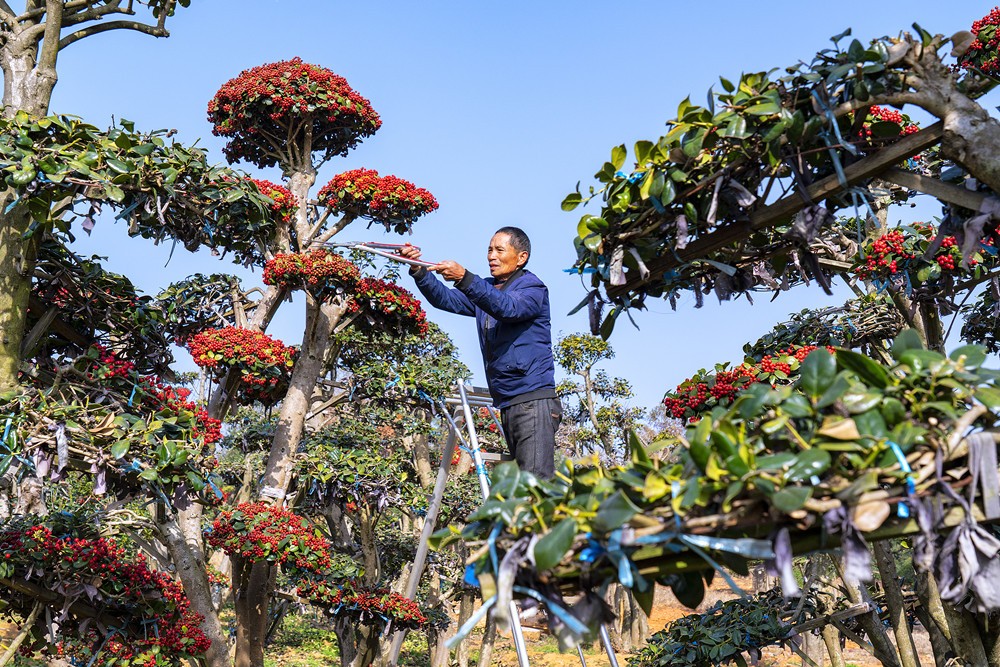 /uploads/image/2023/12/07/2a179b31c32a28e8bf1ea9d163a0efa7.jpg 1_副本.jpg