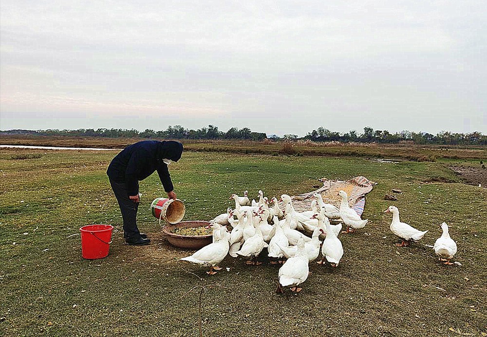 /uploads/image/2023/12/08/2a726ff67100304e94424804f00437b7.jpg 5.jpg