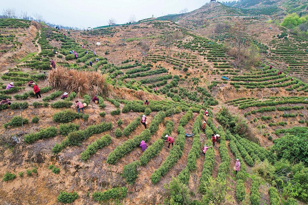 /uploads/image/2023/12/11/408f1ad0c42e2a99eadbe22a4119b94e.jpg 26.jpg