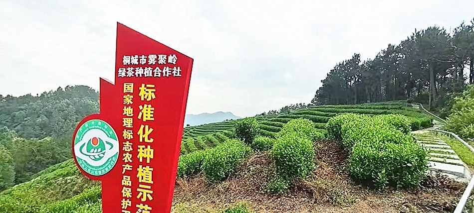 /uploads/image/2023/12/11/0e1ab939b9e1cfbe0835f1bc8b4c97c2.jpg 22.jpg