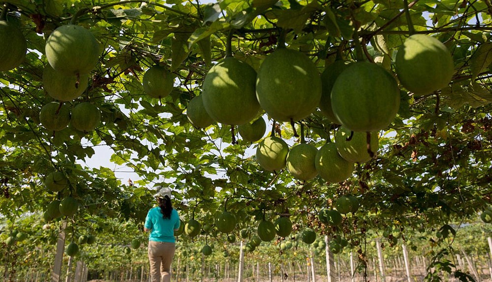 /uploads/image/2023/12/11/d33898821a8e9c1d0ea95b7312985b8e.jpg 20.jpg