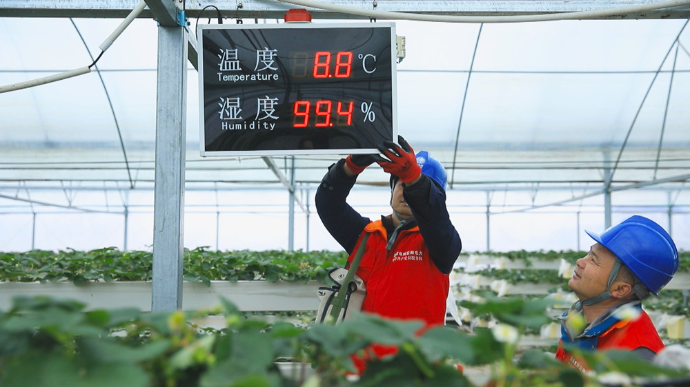 /uploads/image/2023/12/18/9af583643a9ddd496214da54728451e2.jpg 图为国网桐城市供电公司党员服务队正在对某大棚温控设备进行用电维护.jpg