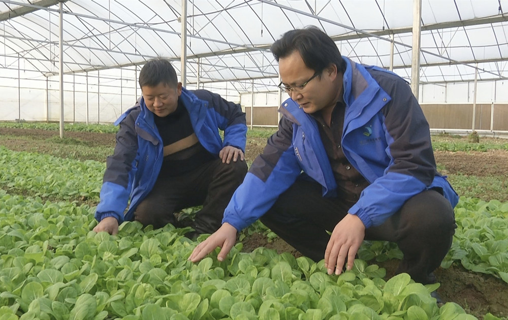 /uploads/image/2024/01/03/7749c3e30b03461fa2eff7beba28783c.jpg 陈宗明1.jpg