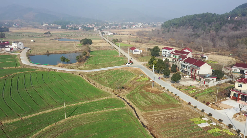 安徽桐城：四好农村路通村畅乡 促进产业发[00_03_21][20240109-172115].jpg