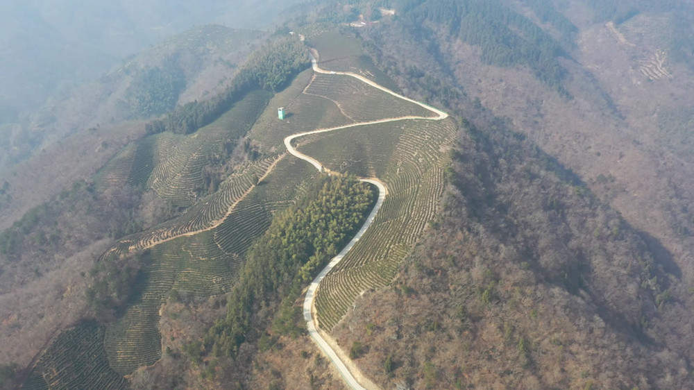 安徽桐城：四好农村路通村畅乡 促进产业发[00_06_35][20240109-172233].jpg