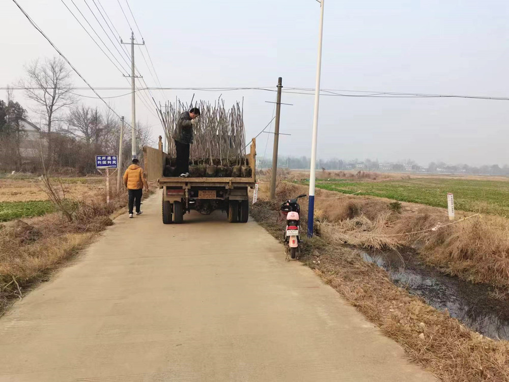 /uploads/image/2024/01/12/1a62d2c92eeafb34ade1308bb22b1eff.jpg 微信图片_20240112170236.jpg