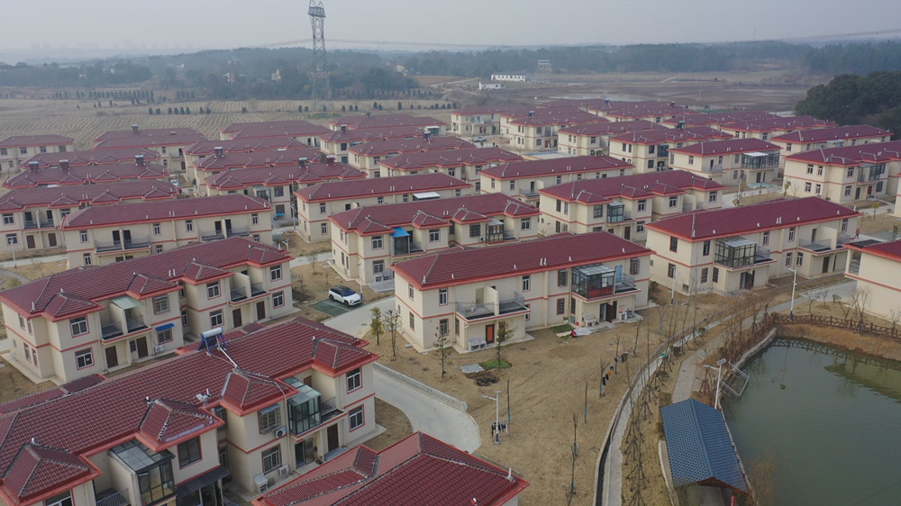 /uploads/image/2024/02/01/9f78cc947d2cff3f968d9dd64b6cd8f2.jpg 年鱼.jpg