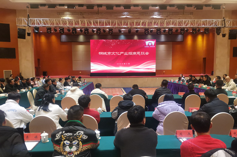 文化产业招商恳谈会_副本.jpg