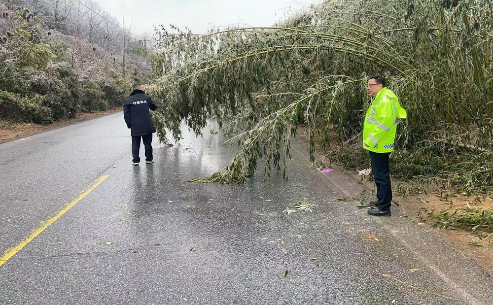 /uploads/image/2024/02/05/3b76e77d872d236dbc7d53893b9520f6.jpg 11.jpg