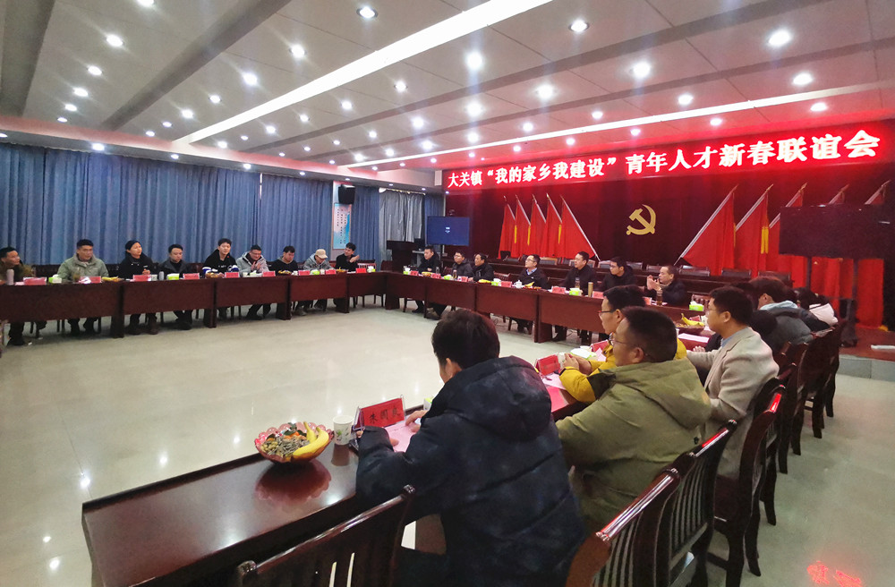 大关青年人才联谊会.jpg