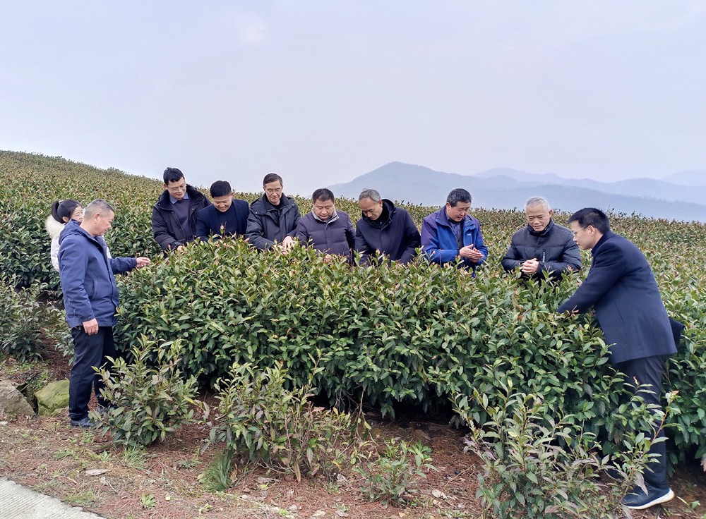 /uploads/image/2024/03/08/ec4649298e18c07a0ac827aabbd9d584.jpg 3.jpg