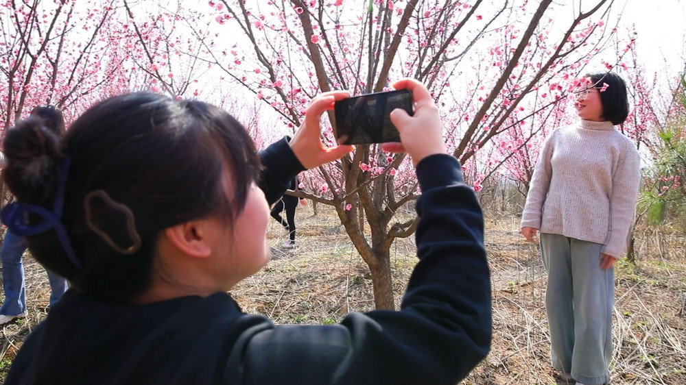 安徽桐城：梅花盛开俏枝头 芬芳美景醉游人[00_04_19][20240308-152747].jpg