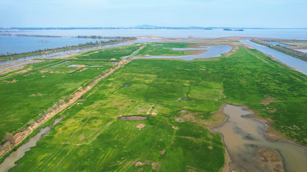 /uploads/image/2024/04/08/6cea268624eae02acbcab127487e0f66.jpg 2.jpg