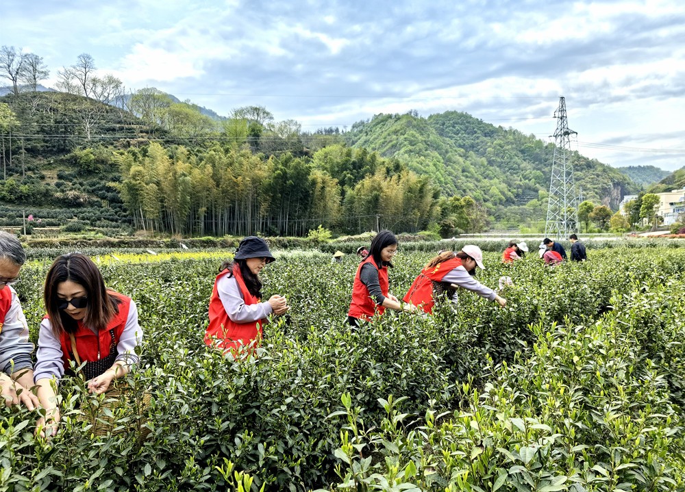 /uploads/image/2024/04/11/c47c4c6538950fac17dc1362c4bc49cd.jpg 2.jpg