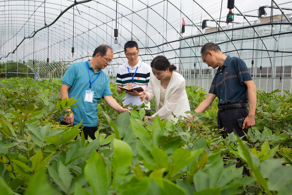 /uploads/image/2024/04/12/05e5493776b093974afd9a15cc3a5c2a.jpg 微信图片_20240412082218.jpg