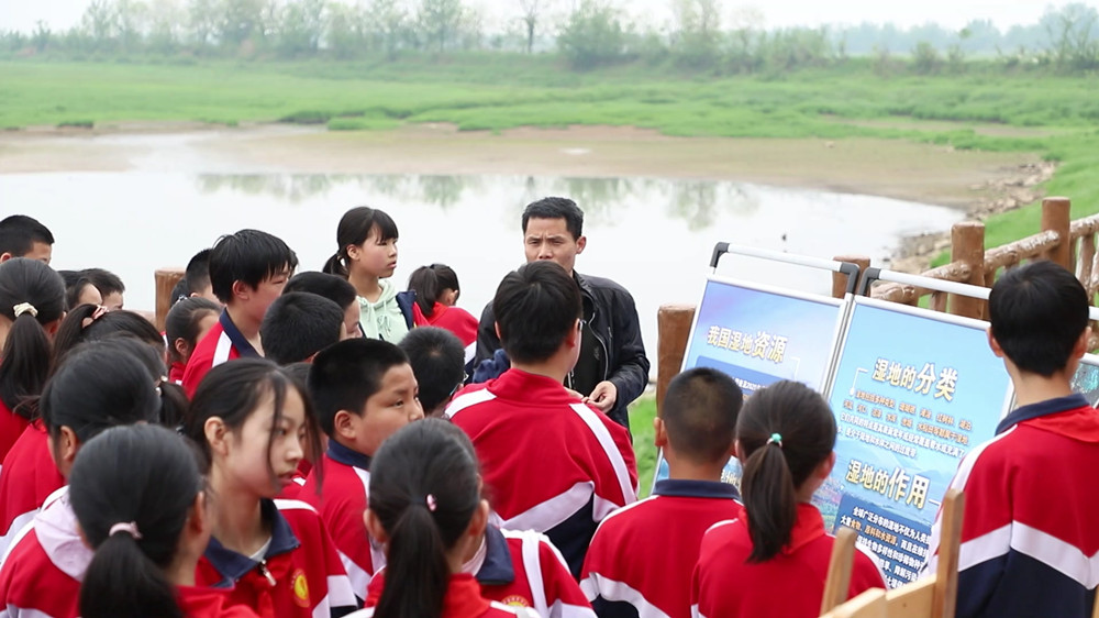 【春游江淮】安徽桐城：湿地别样美 学生们[00_06_48][20240412-150756].jpg