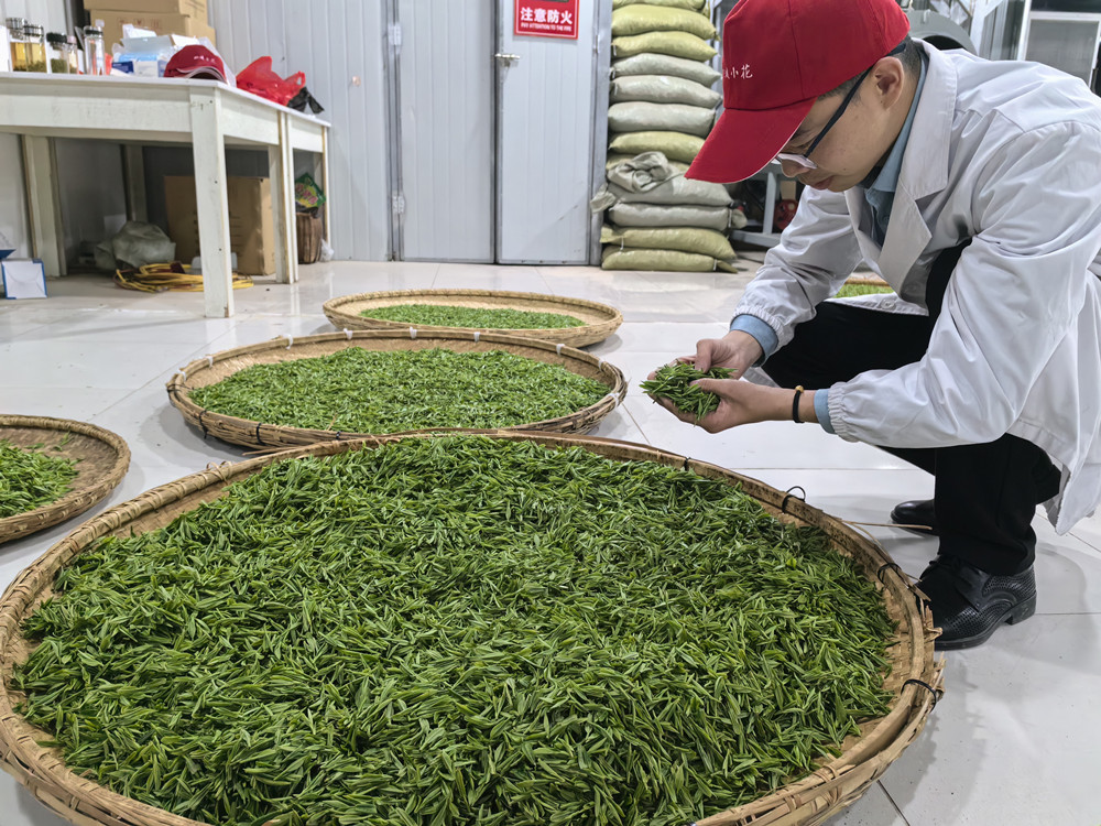 /uploads/image/2024/04/12/e713e64ab216bd66d5091af7c2212c7b.jpg 微信图片_20240412082151.jpg