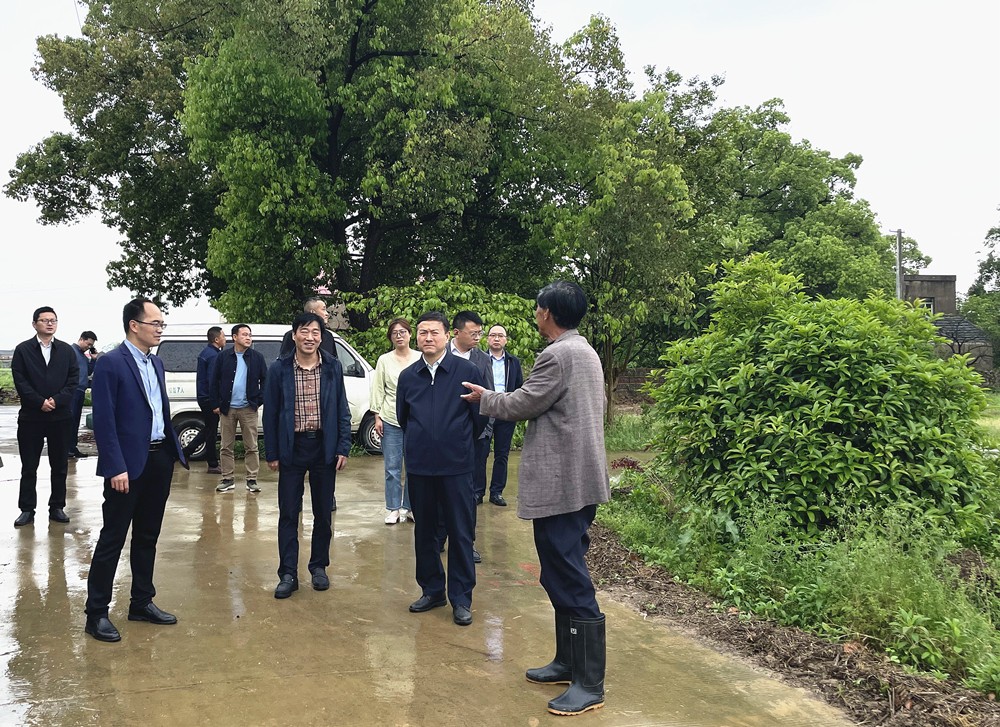 /uploads/image/2024/04/18/d472482aa4ae8c3cf1a91a651f7f3f7e.jpg 20.jpg