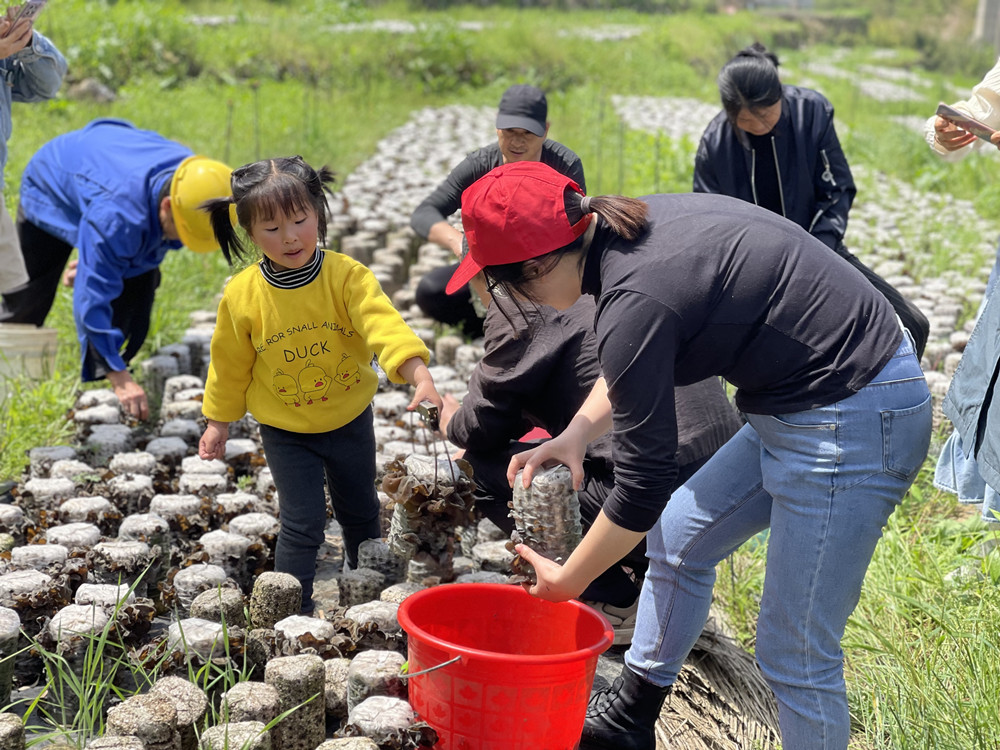 /uploads/image/2024/04/22/a59fb38c73cf8d9ab32a4ff83e0b8976.jpg 图为活动现场(3).jpg