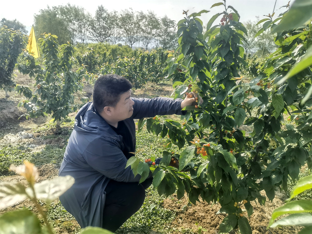 /uploads/image/2024/04/24/13a3b1bf1d4323ff8810c0f438800c75.jpg 1.jpg