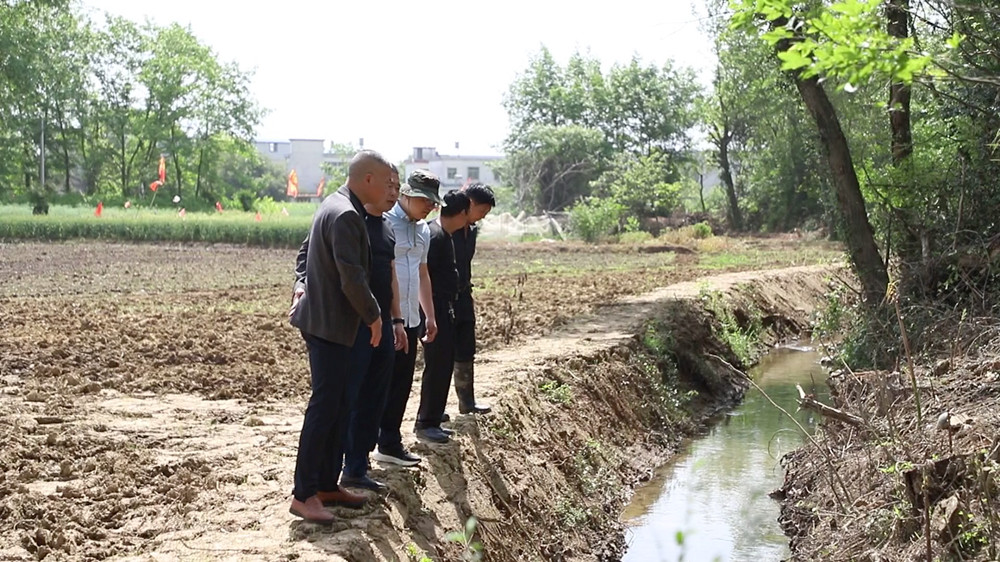 合安村与杨安村两委查看水渠.jpg