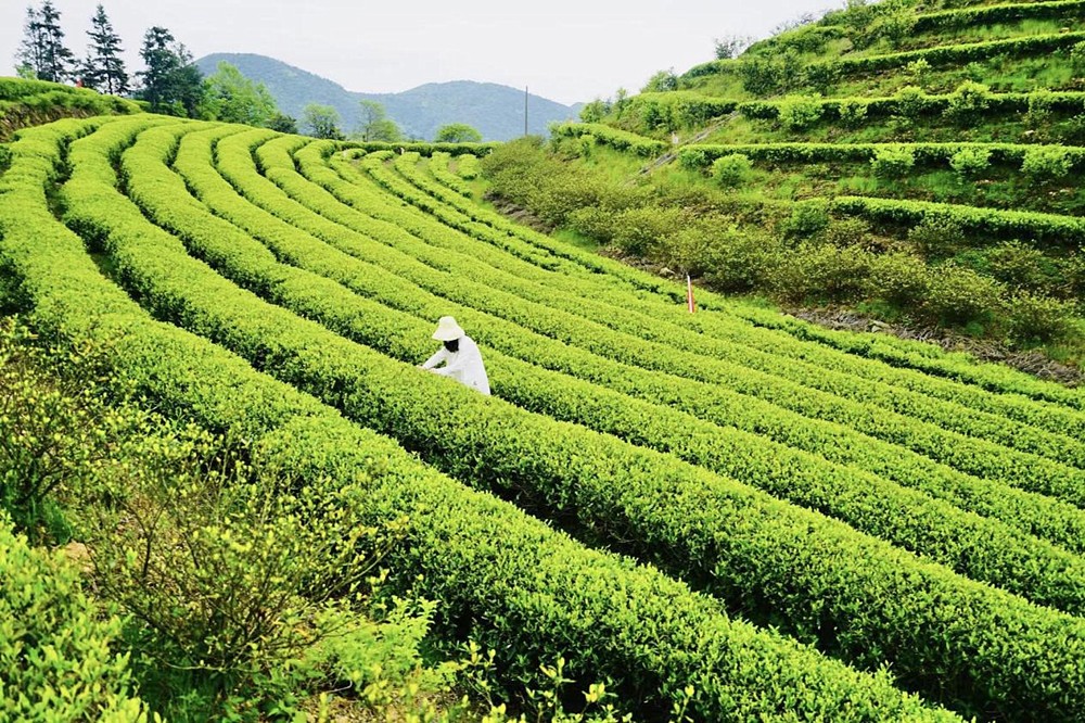 /uploads/image/2024/04/29/4891a865e3046d2b4e5ca1675c7182e9.jpg 4.jpg