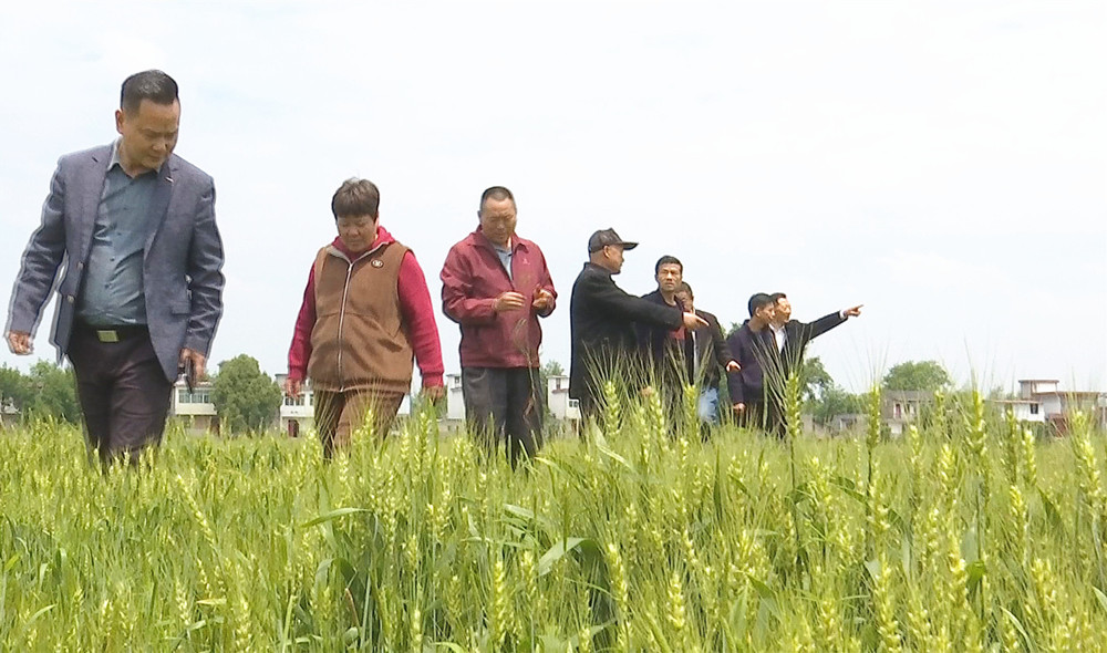 /uploads/image/2024/05/02/94d98bc7d96c04c0a969f0113fa5ad02.jpg 3_副本.jpg