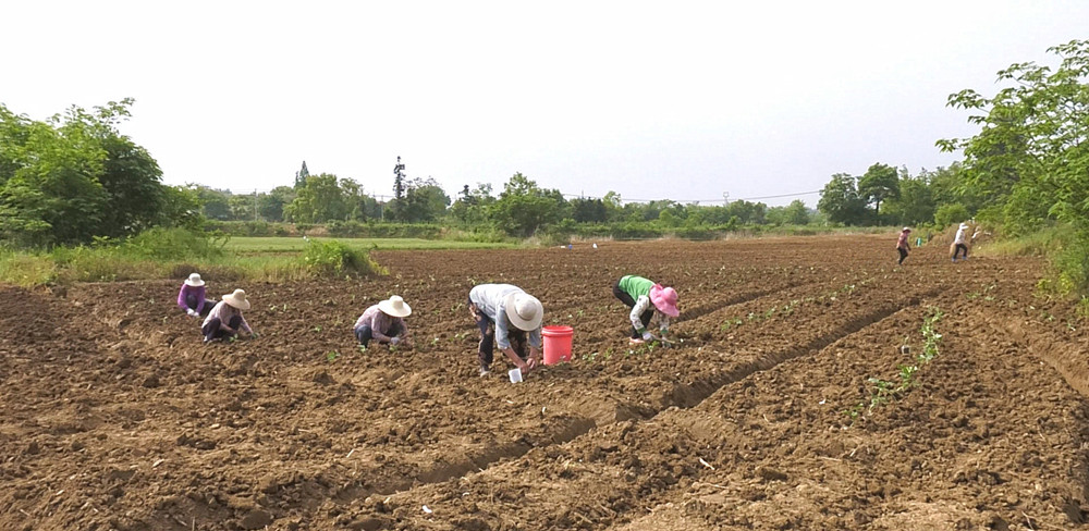 /uploads/image/2024/05/06/34589ed9110c9cbc99028821a93e3c36.jpg QQ图片20240506152904_副本.jpg