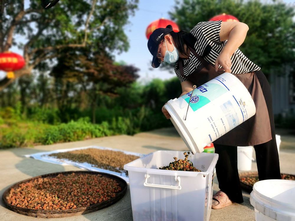 /uploads/image/2024/05/10/c5dd9b6be7c1dc30ddb59265f2beedcc.jpg 11.jpg