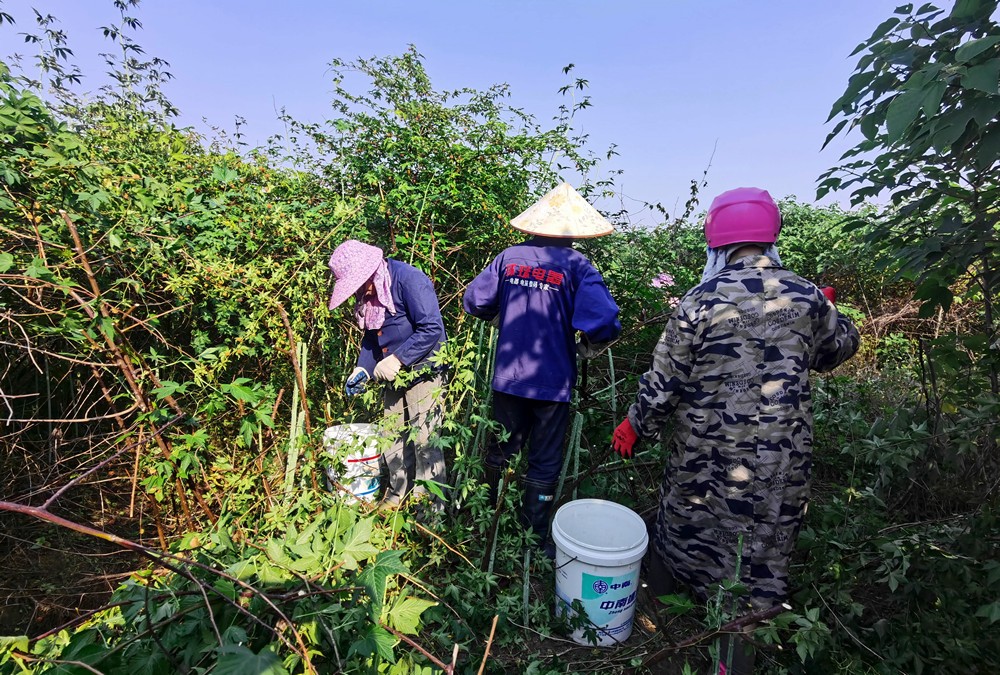 /uploads/image/2024/05/10/8d39253f29ea768976728fcee007b670.jpg 10.jpg