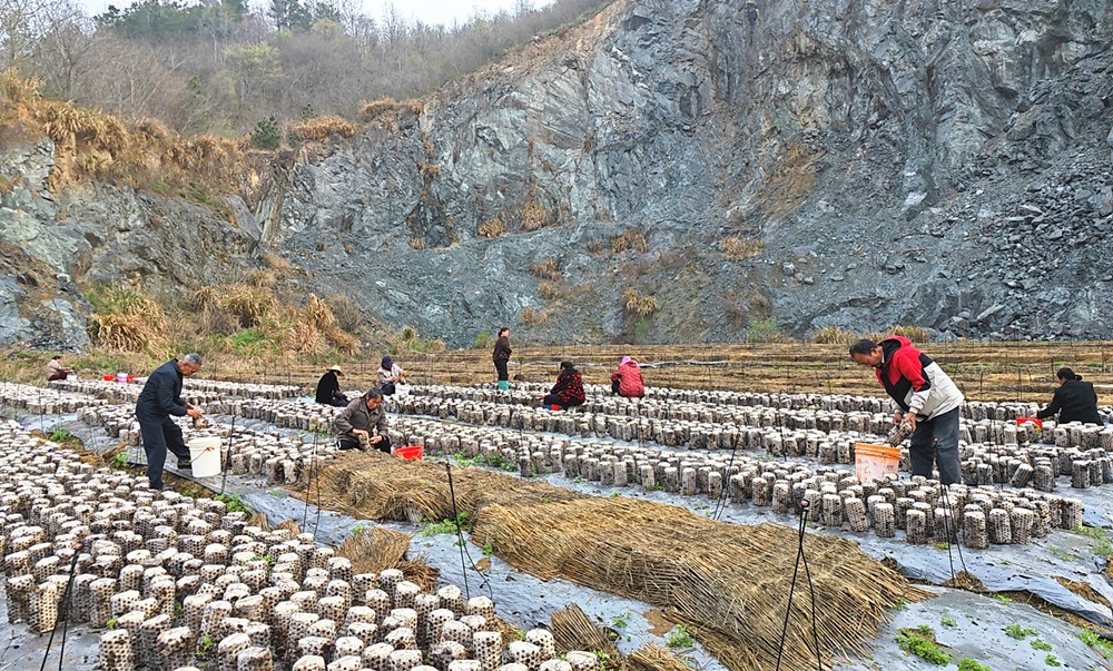 /uploads/image/2024/05/11/a2e6f48f52868a7d909d01868b1238b8.jpg 2.jpg