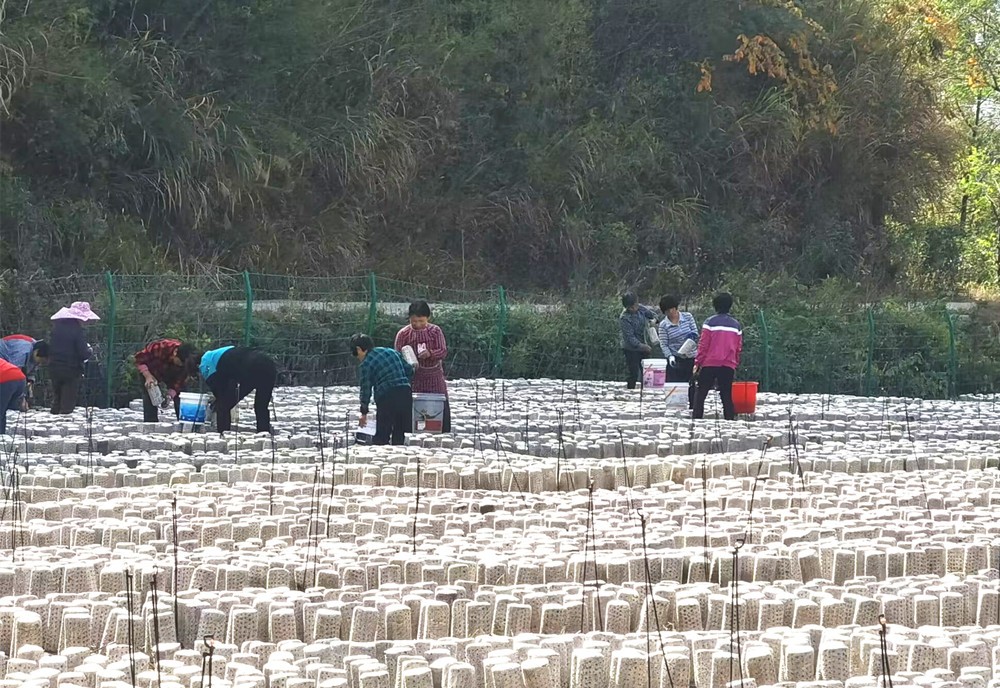 /uploads/image/2024/05/12/62708622888ac869048ea2d4cacb4b14.jpg 1.jpg