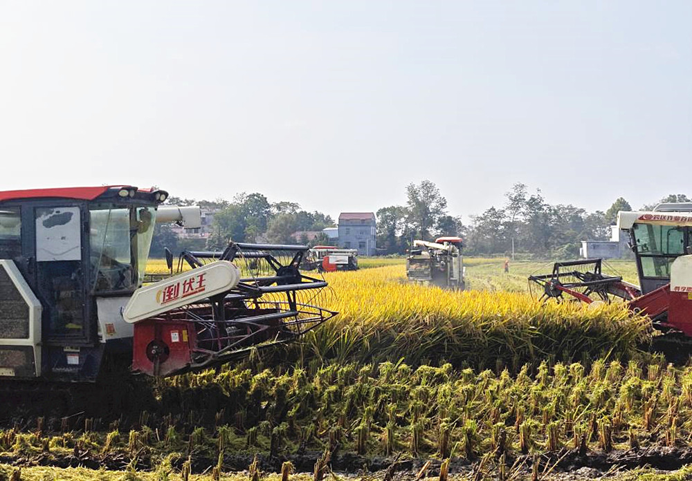 /uploads/image/2024/05/12/759ada043fb203645bf9d9501a164b16.jpg 图2.乡村服务模式:云水村农机服务队正在田间作业_副本.jpg