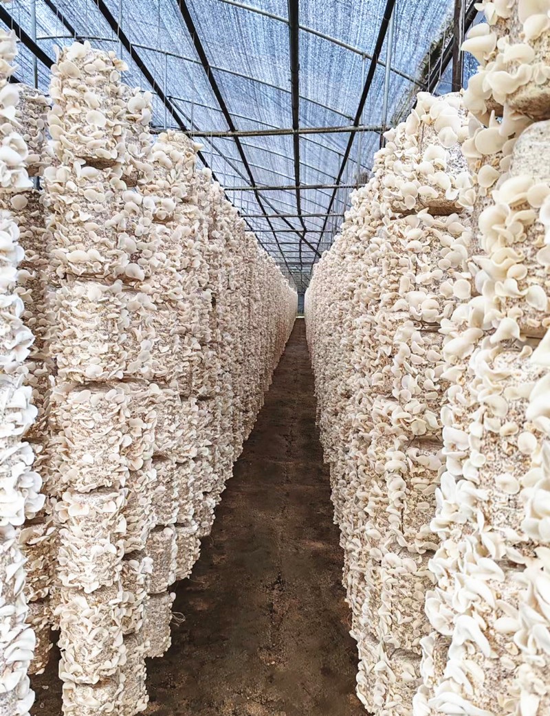 /uploads/image/2024/05/12/b04e38eb58e4cfb371f81aee52c0c3e2.jpg 2.jpg