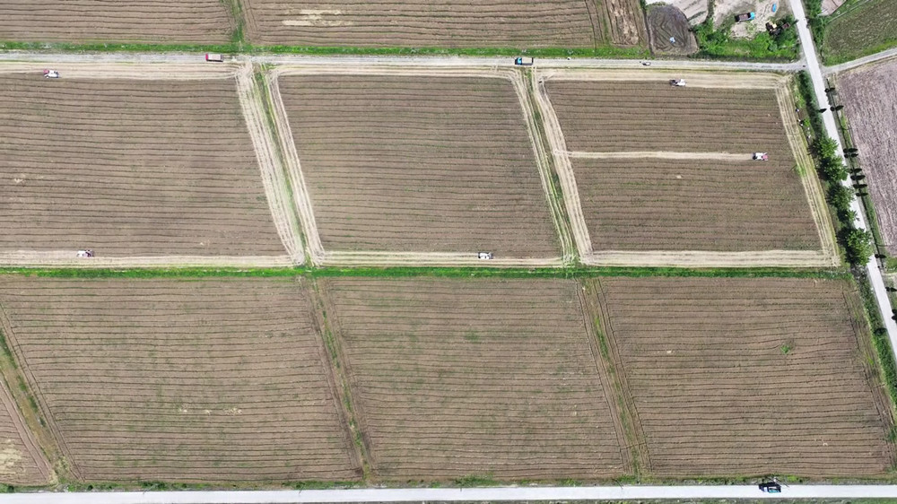 安徽桐城：机械助力喜迎丰收 14万亩小麦[00_05_41][20240516-163842].jpg