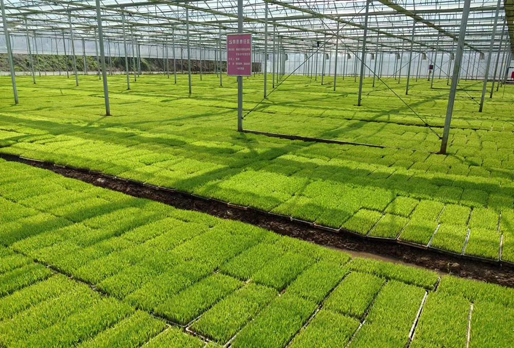 /uploads/image/2024/05/20/b9301864b87990ff82deabd82a10a1ca.jpg 3.jpg