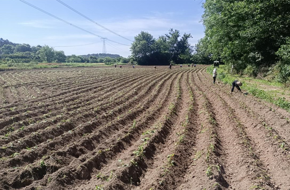 /uploads/image/2024/05/20/a7c860fa0624cfc2ee36f38d0b13cce1.jpg proxy.jpg