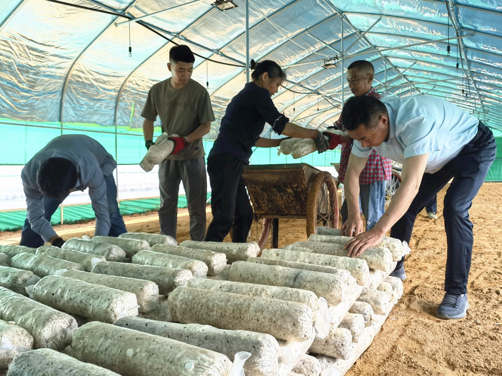 /uploads/image/2024/05/23/d6ba74c98fe3778de0bb6e9f5472b191.jpg 10.jpg