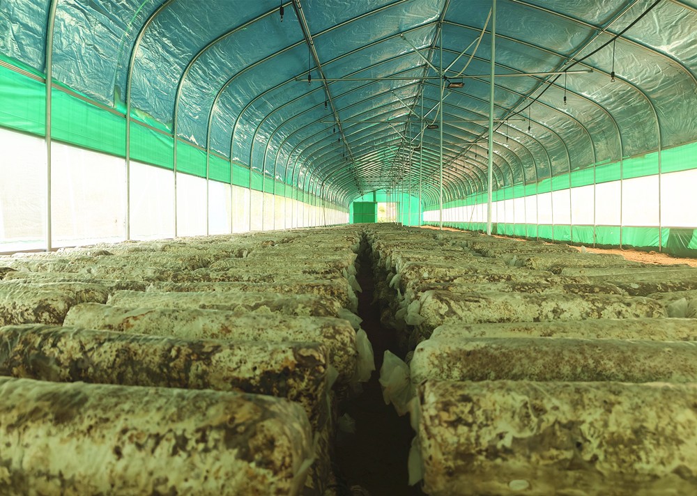 /uploads/image/2024/05/23/de59e6f48371ea44052377dc8123f01d.jpg 12.jpg