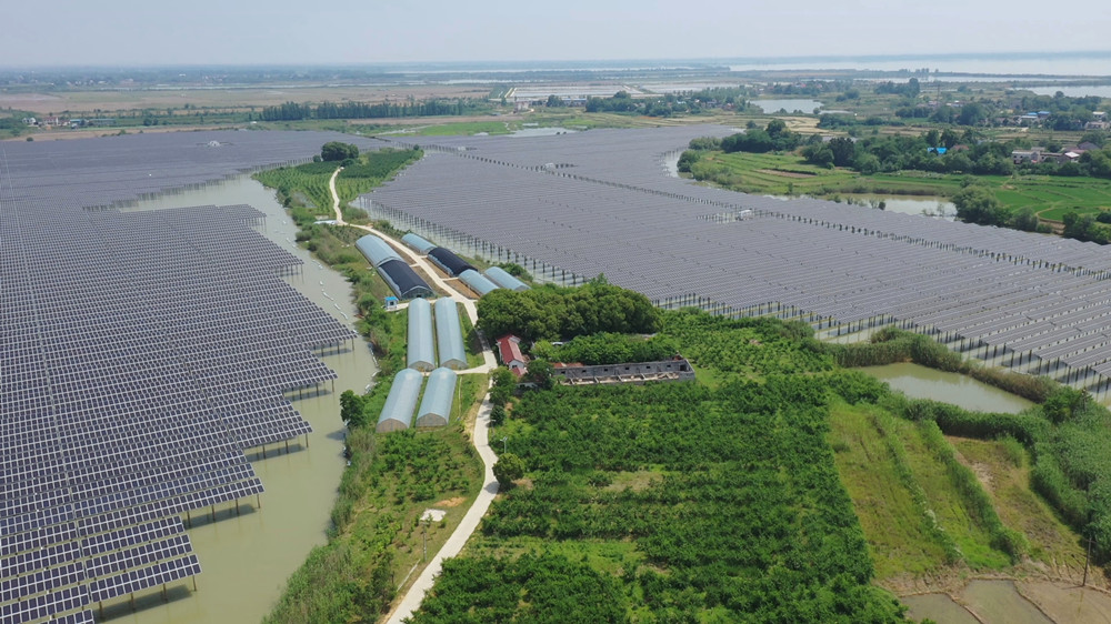 /uploads/image/2024/05/27/3440b750b6a4f1b07f8b8c84a3583d43.jpg 桃园.jpg