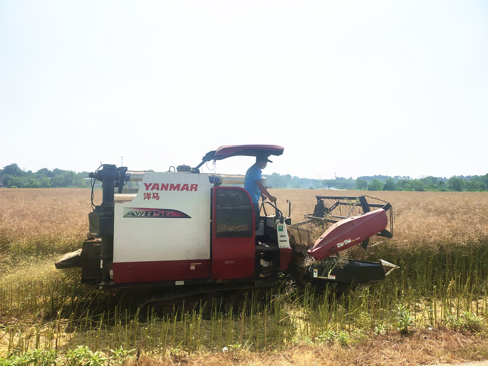 /uploads/image/2024/05/27/426fc36681b603d2a95da80a3d563862.jpg 4.jpg