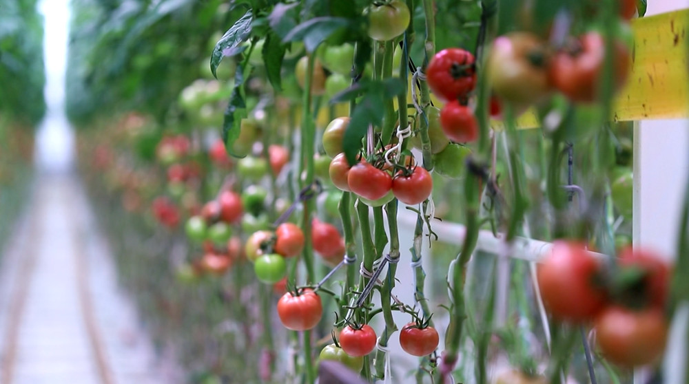 /uploads/image/2024/05/28/f2a16ab4392a937b99aacf41627080fd.jpg 微信图片_20240528142342.jpg