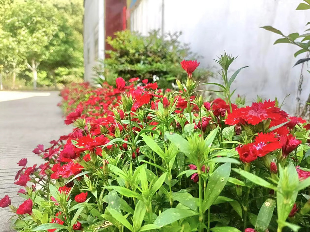 /uploads/image/2024/05/31/33082e7cf0e947918fd25d0398a5a52f.jpg 2.jpg